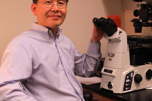Chun Geun Lee | Molecular Microbiology & Immunology | Brown University
